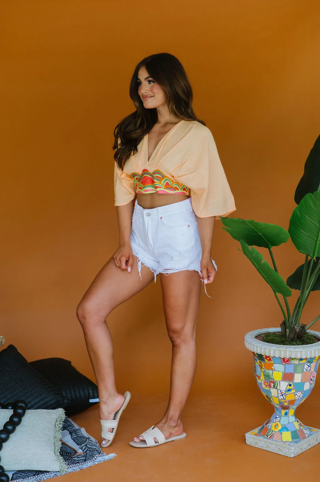 Baylor Embroidered Crop Top
