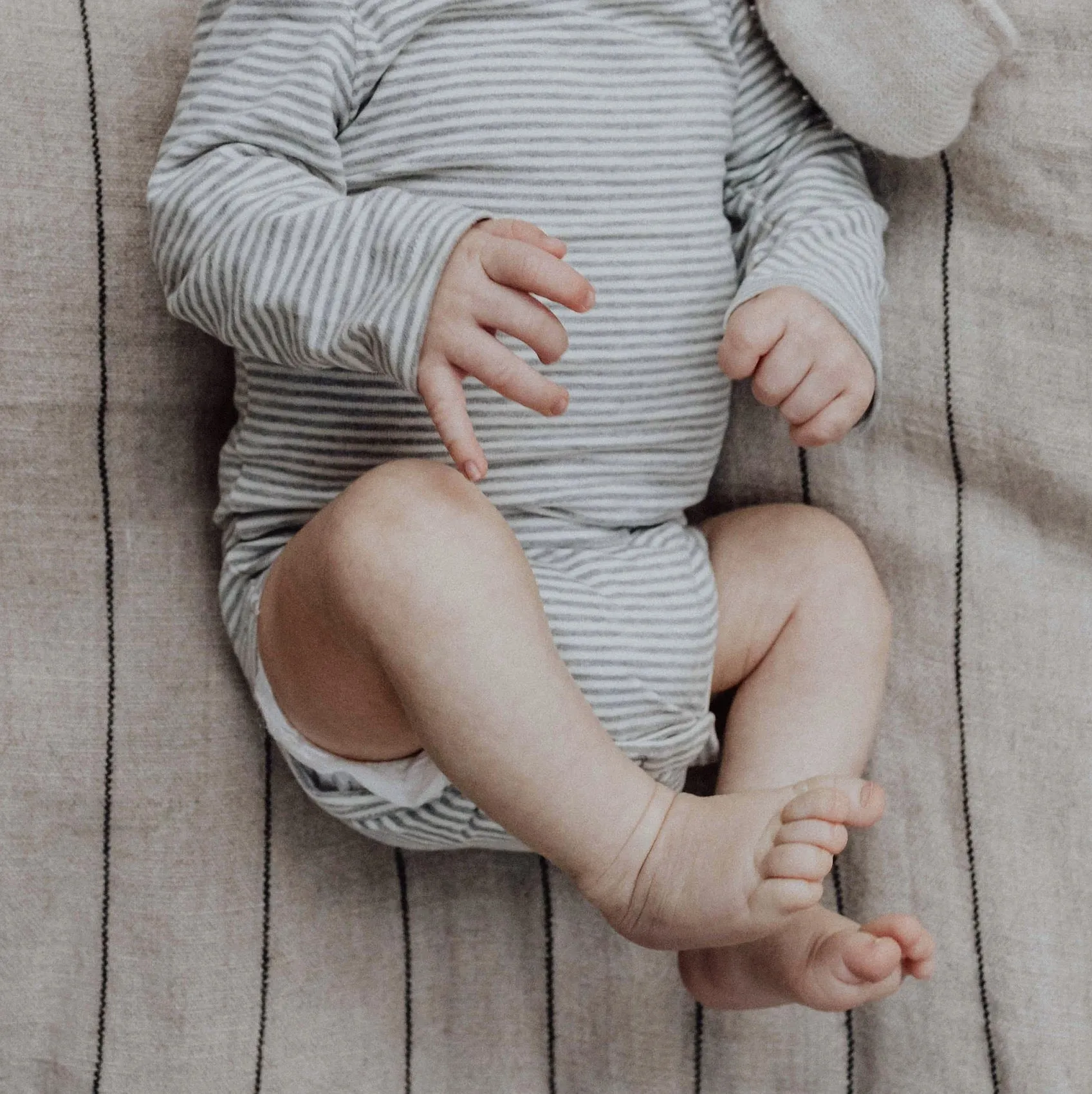 Collar Body - Organic Cotton