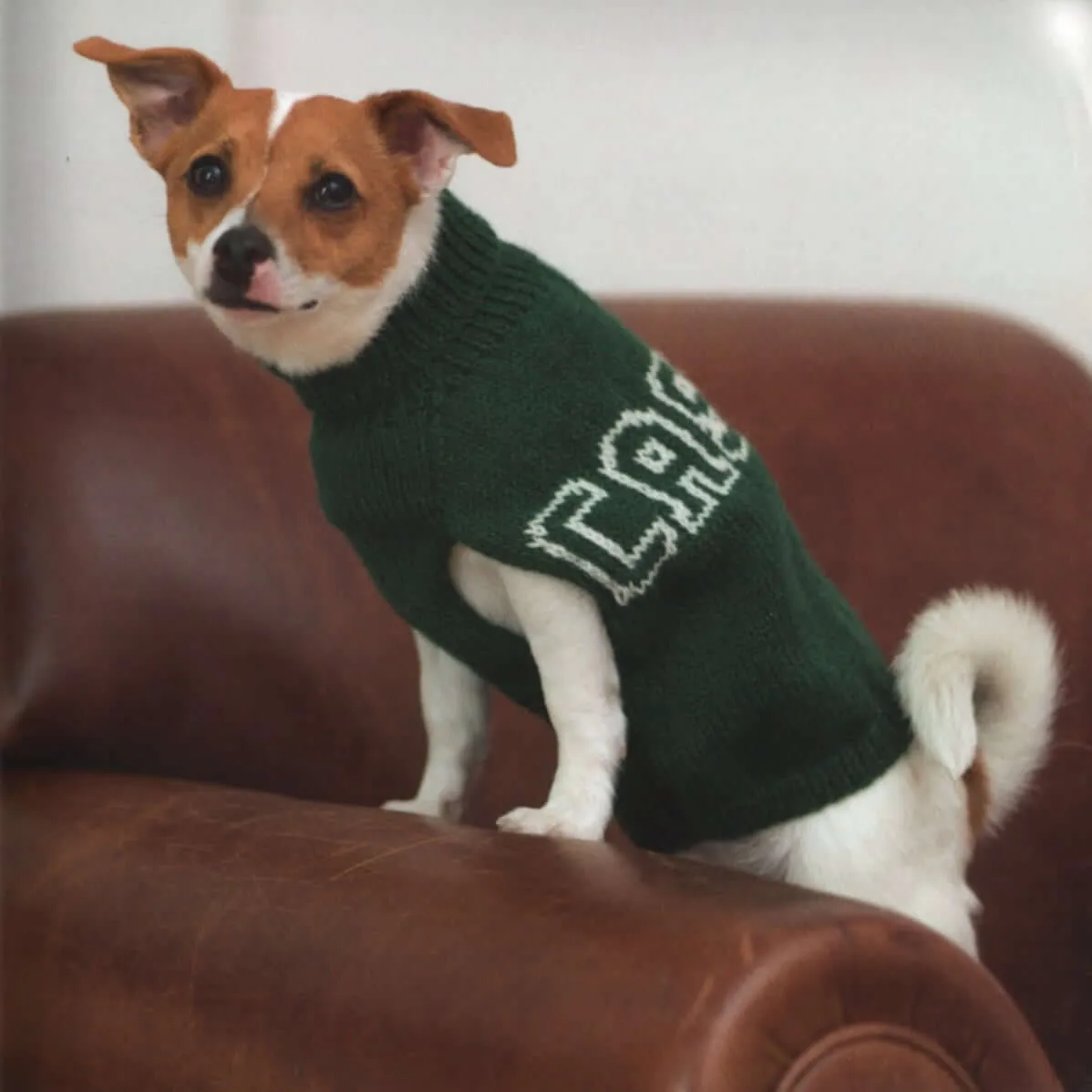 Outrageously Adorable Dog Knits: 25 Must-Have Styles for the Pampered Pooch