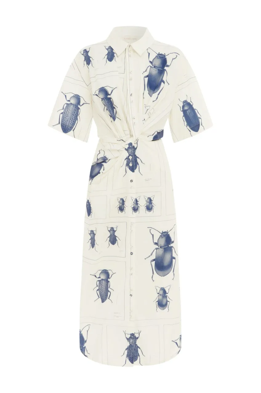 Twisted Beetle Shirt Dress - Beetle Print